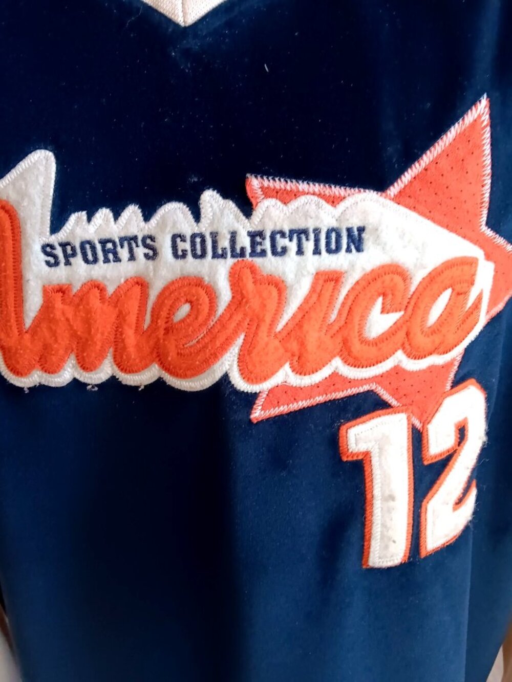 Vintage XL Sweatshirt Pullover Delf Sports 90's "America" Embroidered Jersey